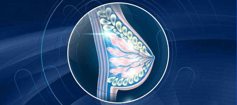 ROZSIANY RAK PIERSI HER-2 DODATNI - OPTYMALNA SEKWENCJA KOLEJNYCH LINII TERAPII