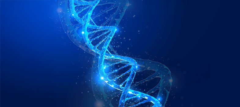 NOWE CELE MOLEKULARNE W NOWOTWORACH PRZEWODU POKARMOWEGO