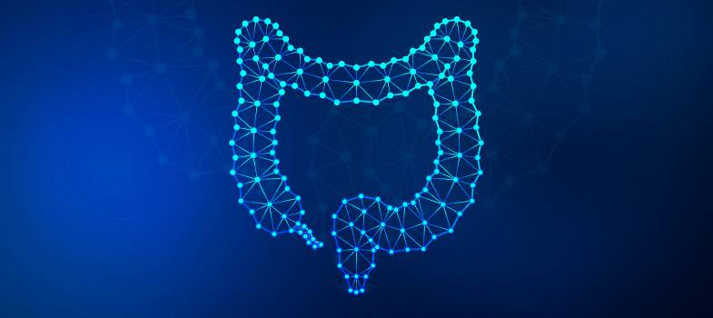 JAK ZMIANA DOSTĘPU DO LEKÓW ANTYANGIOGENNYCH WPŁYWA NA MOŻLIWOŚCI LECZENIA CHORYCH NA RAKA JELITA GRUBEGO W STADIUM UOGÓLNIENIA?